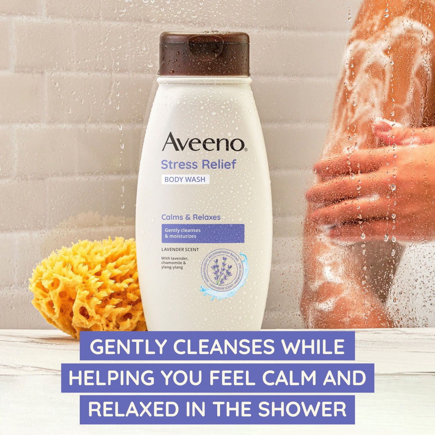AVEENO Active Naturals Body Wash, Stress Relief 12 oz