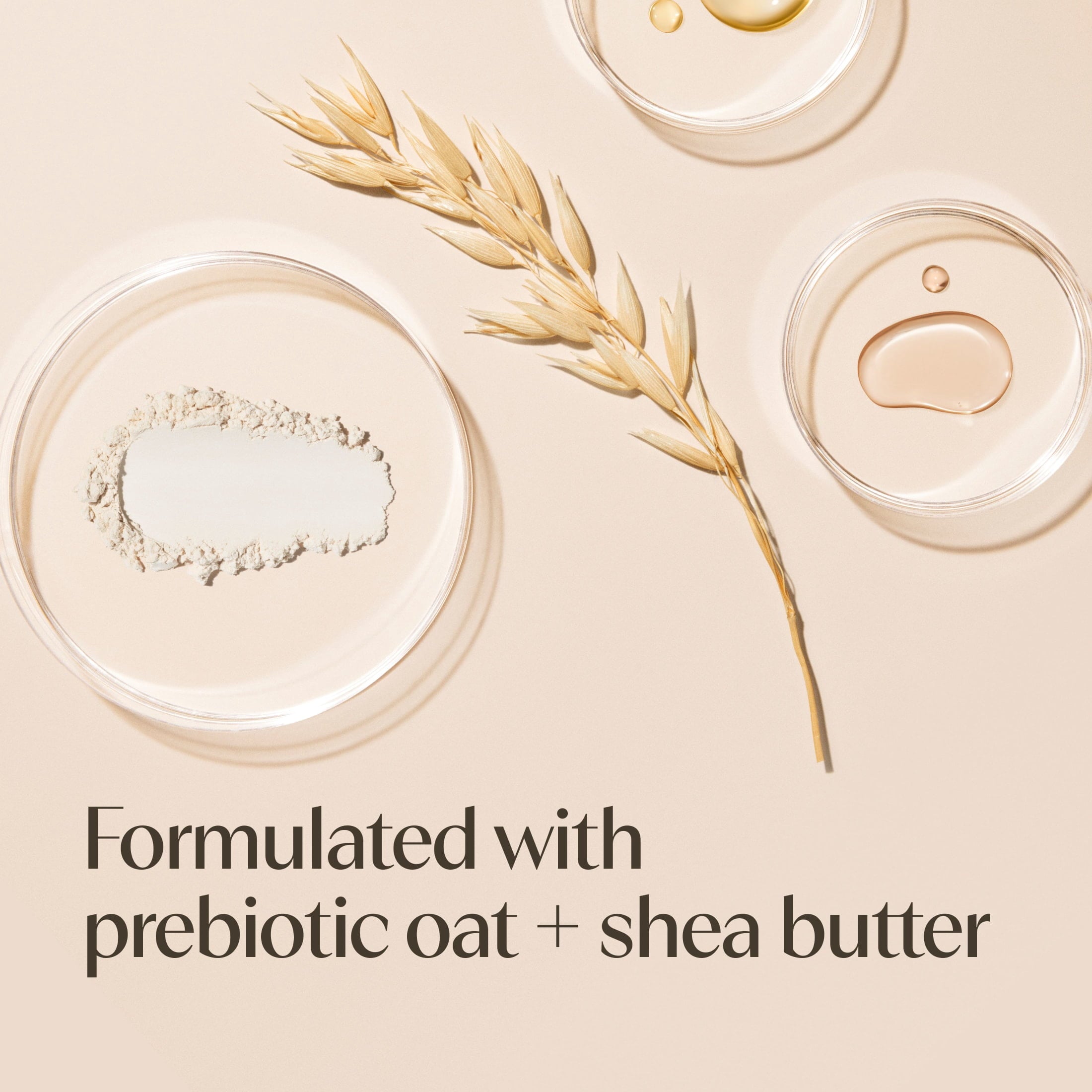 Aveeno Daily Moisturizing Body and Face Cream, Fragrance Free, 15 oz