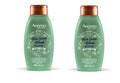 Aveeno Scalp Soothing Fresh Greens Blend Shampoo, 12 fl. Oz - 2 Pack